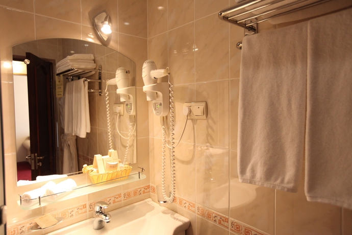 Imagen de la habitación del Hotel Tatarstan Business-hotel. Foto 9