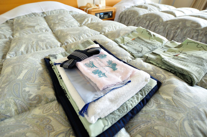 Imagen de la habitación del Hotel Tateyama Kokusai. Foto 6