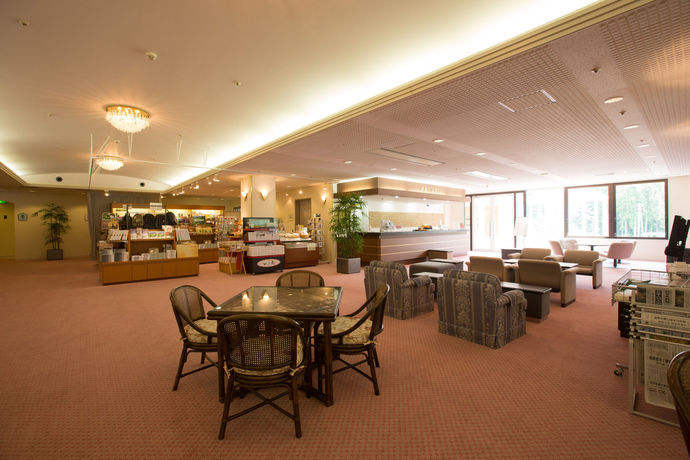 Imagen de los interiores del Hotel Tateyama Kokusai. Foto 11
