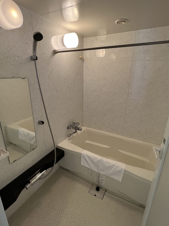 Imagen de la habitación del Hotel Tatsumi Club. Foto 6