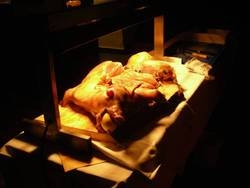 Imagen general del Hotel Tauernhaus Wisenegg. Foto 6