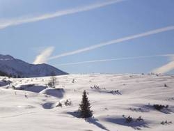 Imagen general del Hotel Tauernhaus Wisenegg. Foto 13