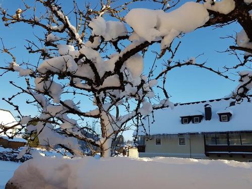 Imagen general del Hotel Tauplitzerhof. Foto 9
