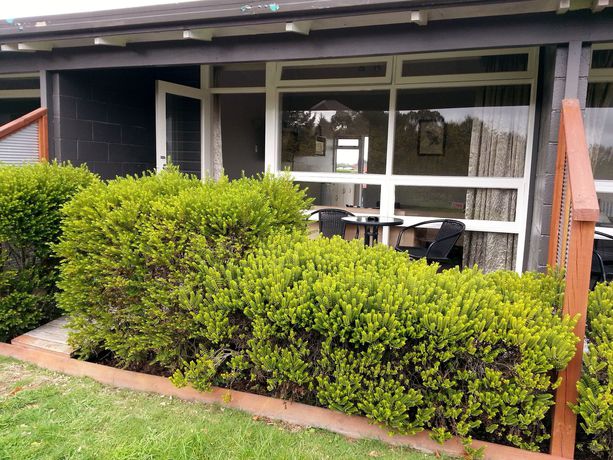 Imagen de la habitación del Hotel Taupo Debretts Spa Resort - Caravan Park. Foto 6