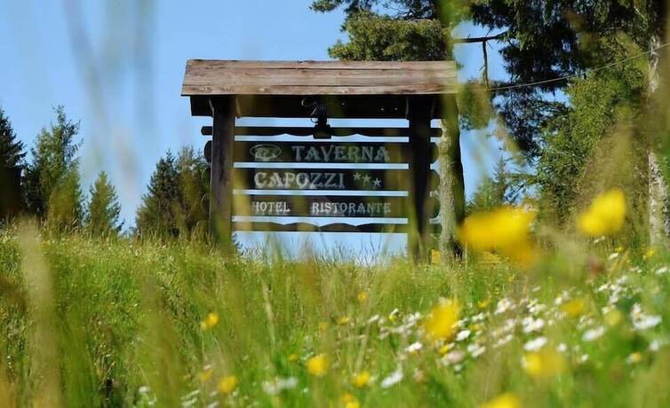 Imagen general del Hotel Taverna Capozzi. Foto 4