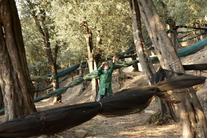 Imagen general del Hotel Taverna del Capitano. Foto 10