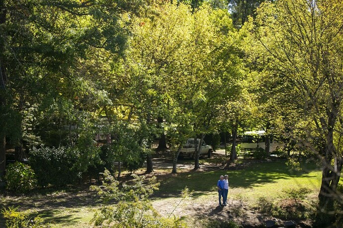 Imagen general del Hotel Tawonga Tourist Park. Foto 6