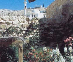 Imagen general del Hotel Taybet Zaman. Foto 3