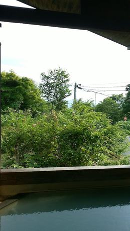 Imagen general del Hotel Tazawa Kogen. Foto 4