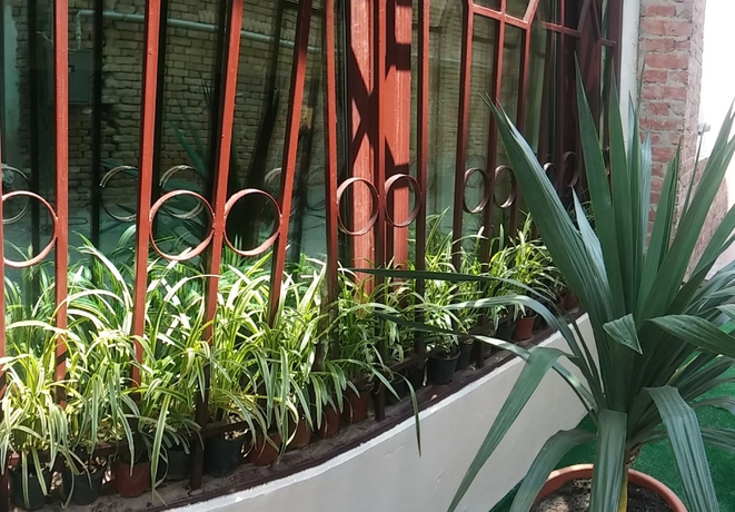 Imagen de los exteriores del Hotel Tbiliseli. Foto 11