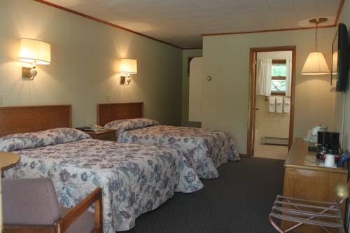 Imagen de la habitación del Hotel T-bird Motor Inn. Foto 6