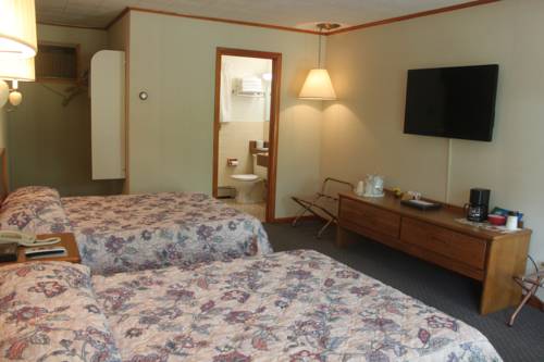 Imagen de la habitación del Hotel T-bird Motor Inn. Foto 7