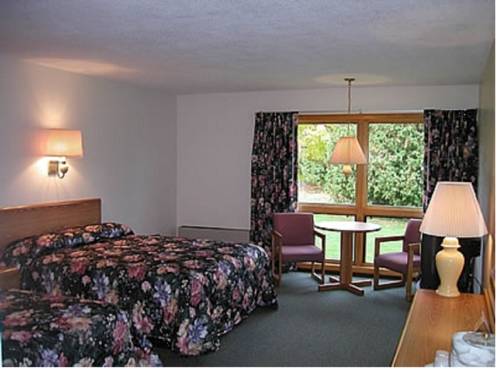 Imagen de la habitación del Hotel T-bird Motor Inn. Foto 9