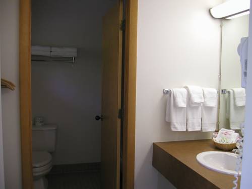 Imagen de la habitación del Hotel T-bird Motor Inn. Foto 11