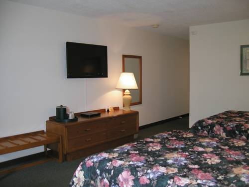 Imagen de la habitación del Hotel T-bird Motor Inn. Foto 12