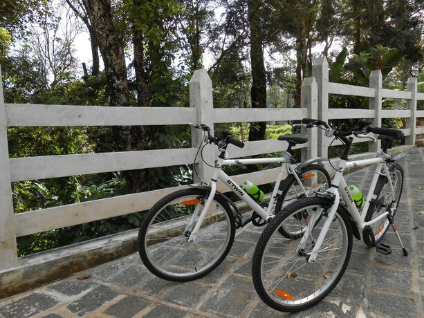 Imagen de los interiores del Hotel Tea Harvester Munnar. Foto 32