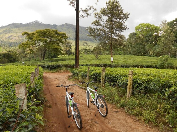 Imagen de los interiores del Hotel Tea Harvester Munnar. Foto 33