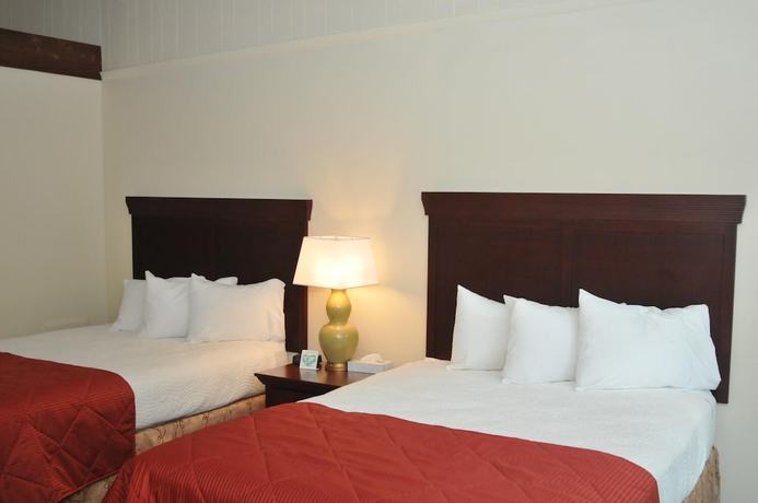 Imagen de la habitación del Hotel Tea Island Resort. Foto 12