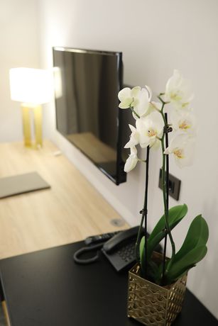 Imagen de la habitación del Hotel Teatro Verdi Hotel. Foto 6