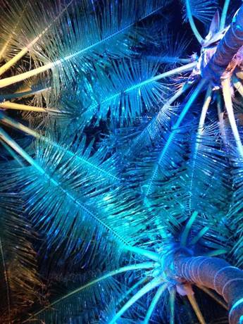 Imagen de la piscina del Hotel Tecnohotel Beach. Foto 15