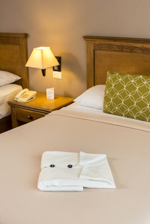 Imagen de la habitación del Hotel Tecnohotel M&eacute;rida Norte. Foto 9