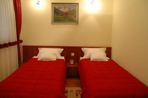 Imagen general del Hotel Tehnograd. Foto 3