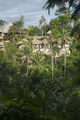 Imagen de la habitación del Hotel Tejaprana Resort And Spa. Foto 4