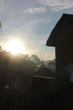 Imagen de los exteriores del Hotel Tejaprana Resort And Spa. Foto 11