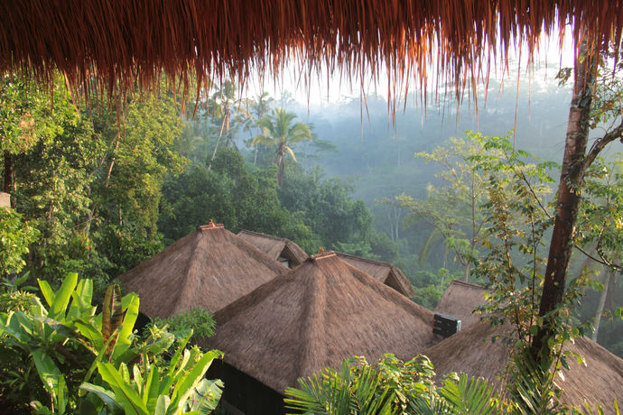 Imagen de los exteriores del Hotel Tejaprana Resort And Spa. Foto 12