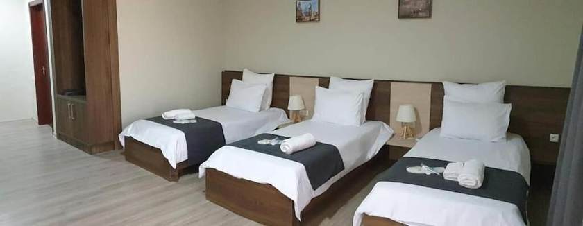 Imagen de la habitación del Hotel Telavi Inn. Foto 16