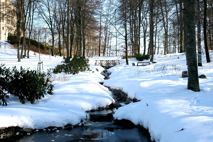Imagen de los exteriores del Hotel Teleborgs Slott. Foto 10