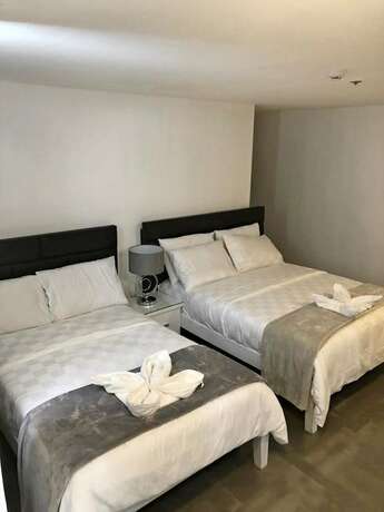 Imagen de la habitación del Hotel Tely's Bed and Breakfast. Foto 16