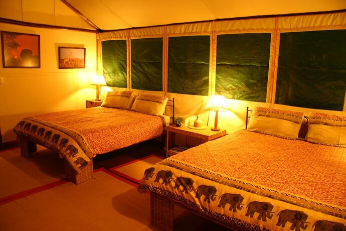 Imagen general del Hotel Tembe Elephant Park. Foto 3