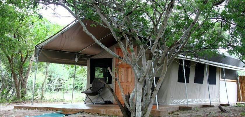 Imagen general del Hotel Tembe Elephant Park. Foto 4