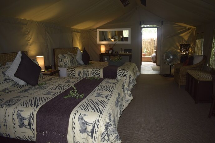 Imagen de la habitación del Hotel Tembe Elephant Park. Foto 16