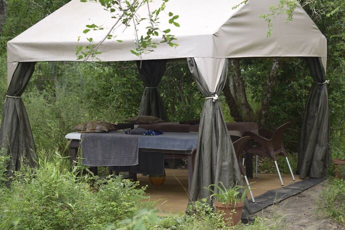 Imagen general del Hotel Tembe Elephant Park. Foto 5