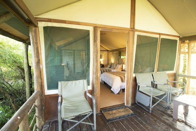 Imagen general del Hotel Tembe Elephant Park. Foto 9