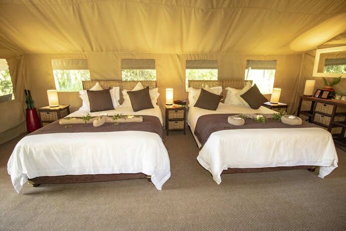 Imagen de la habitación del Hotel Tembe Elephant Park. Foto 18