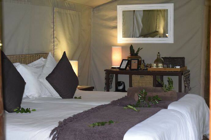 Imagen general del Hotel Tembe Elephant Park. Foto 10