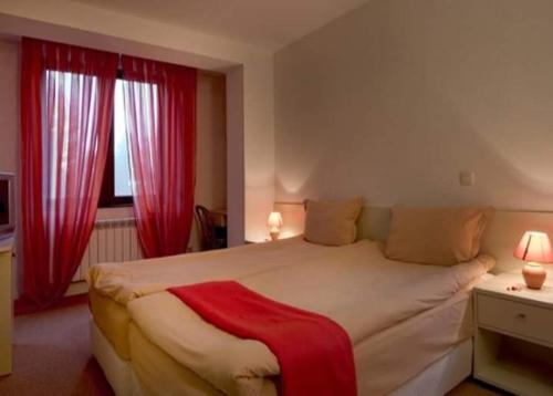 Imagen de la habitación del Hotel Temenuga. Foto 4