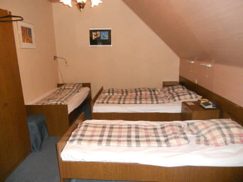 Imagen de la habitación del Hotel Ten Putte. Foto 7