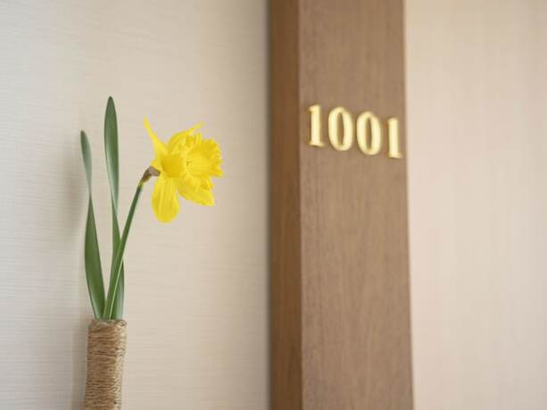 Imagen de la habitación del Hotel Tenjiku Onsennosato. Foto 32