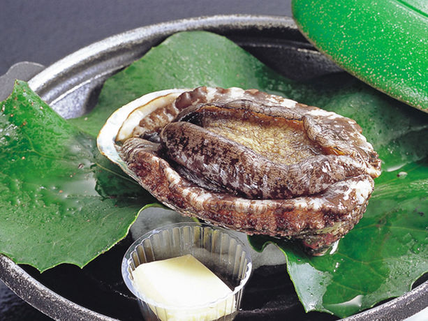 Imagen de los exteriores del Hotel Tenku Kaiyu No Yado Suehiro. Foto 6