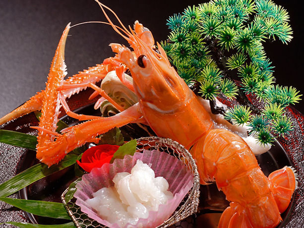 Imagen de la piscina del Hotel Tenku Kaiyu No Yado Suehiro. Foto 11