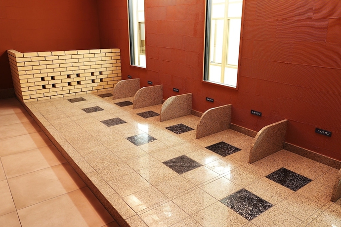 Imagen de la habitación del Hotel Tennenonsen U-neru. Foto 11