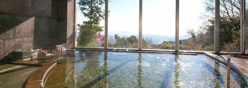 Imagen de la piscina del Hotel Tennomaru. Foto 10