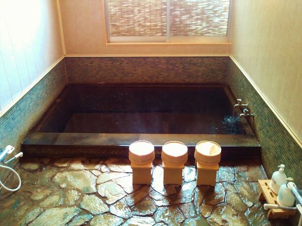 Imagen general del Hotel Tennryuusou. Foto 11