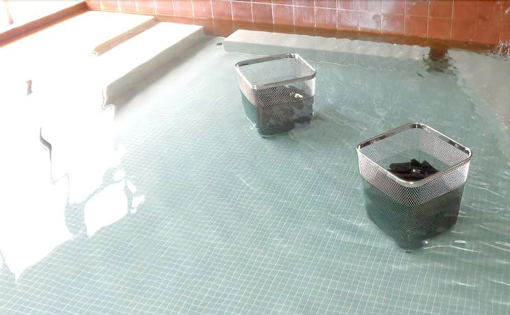 Imagen de la piscina del Hotel Tento No Sato Honjin Abashiriko. Foto 19