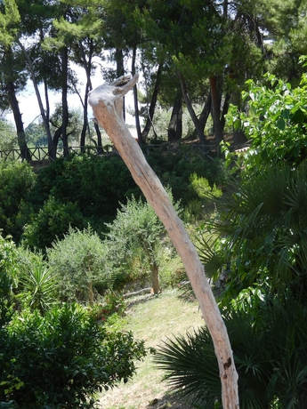 Imagen de los exteriores del Hotel Tenuta Molino Di Mare. Foto 12