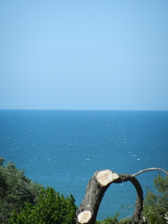 Imagen de los exteriores del Hotel Tenuta Molino Di Mare. Foto 16